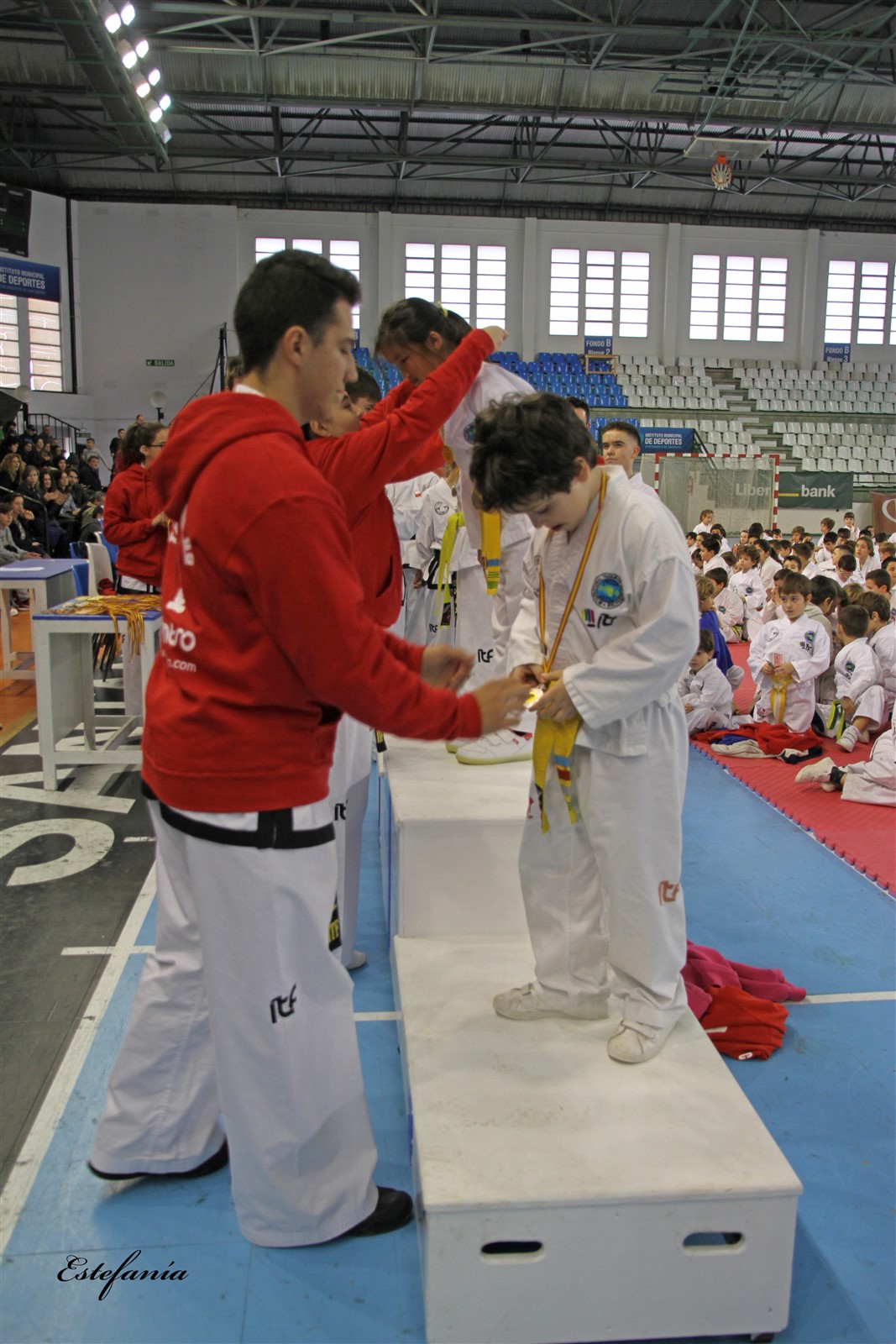 Taekwondo (248).jpg